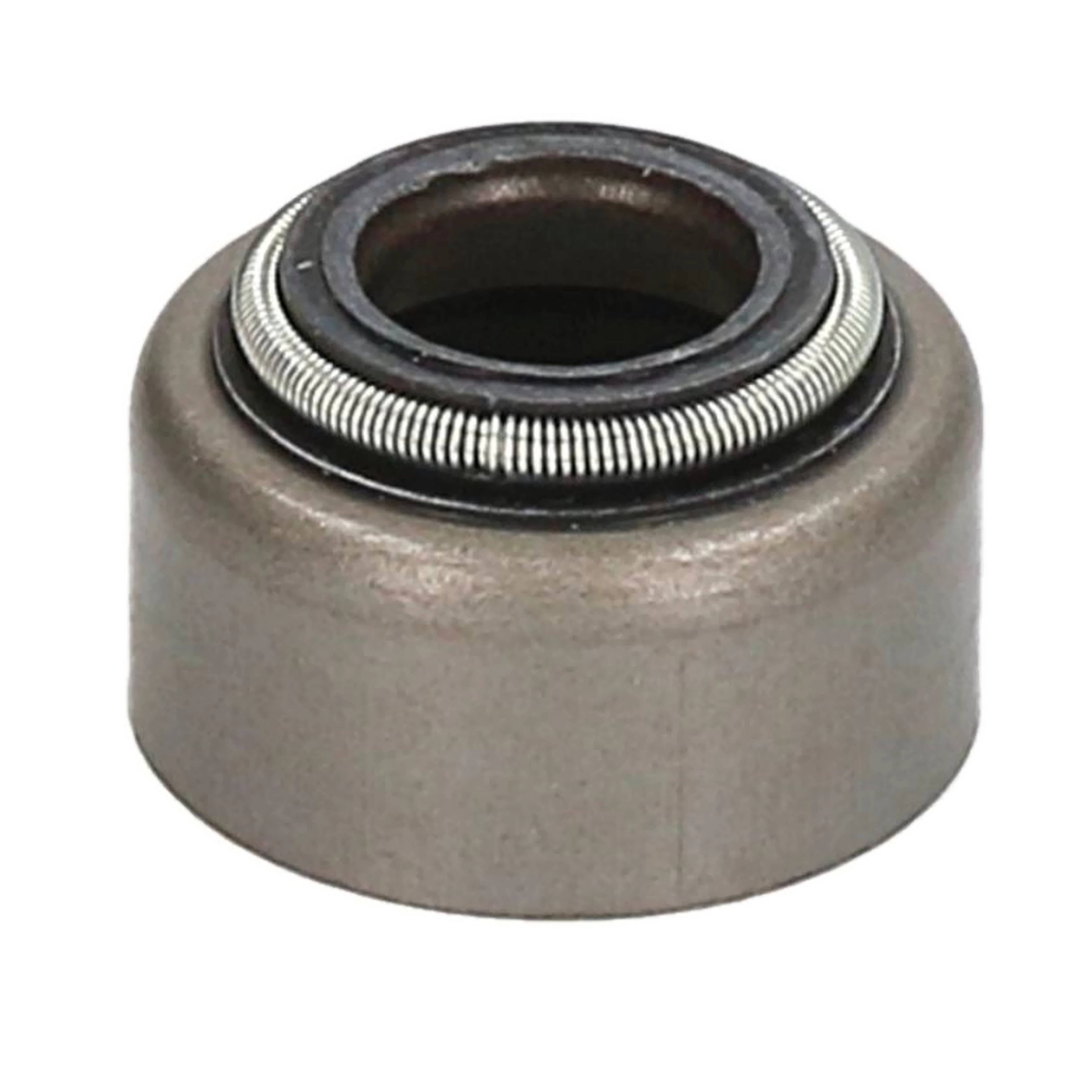 Ventilschaftdichtung Einlass-Seite P400485420520