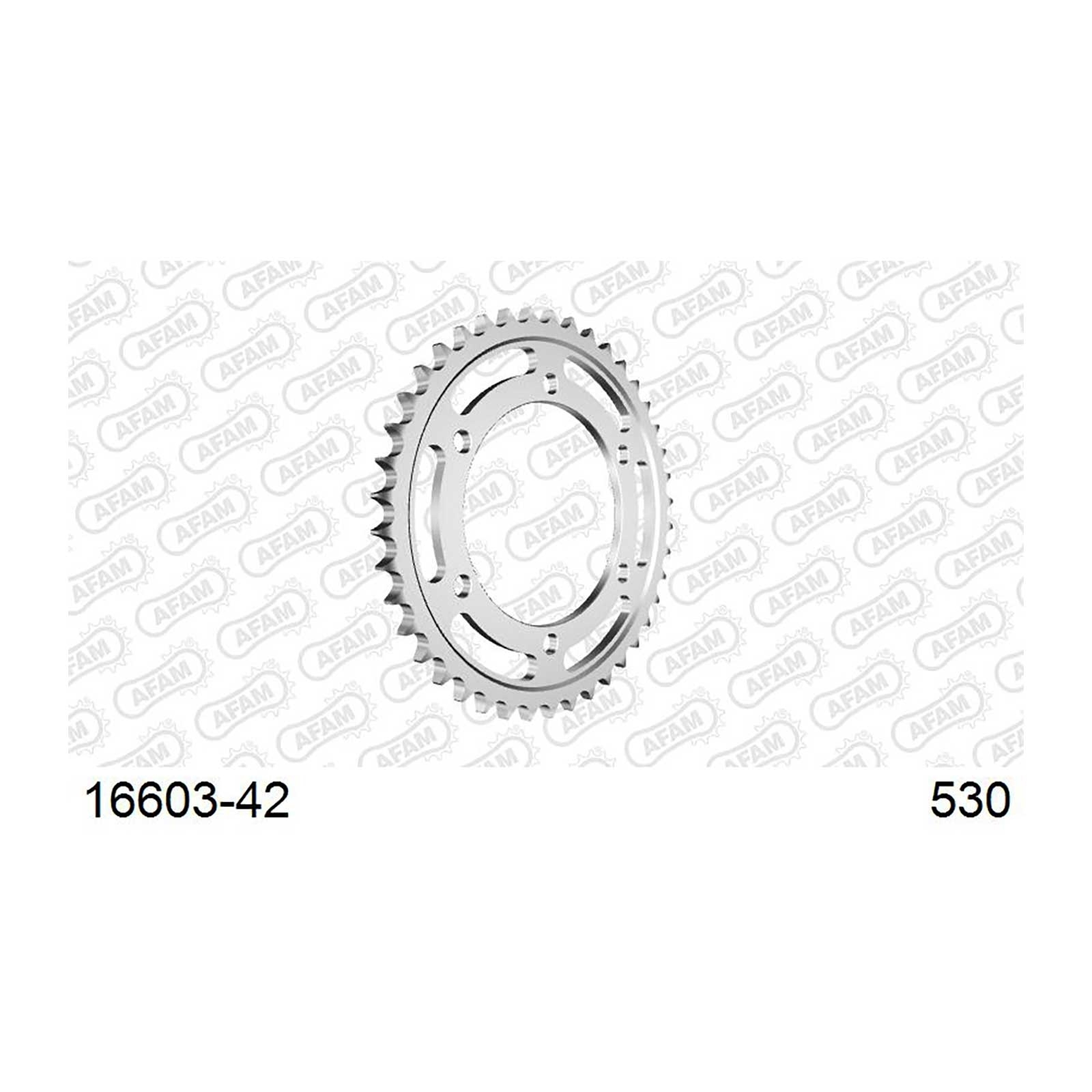 AFAM Kettenrad Teilung 530 42 Zähne Stahl schwarz