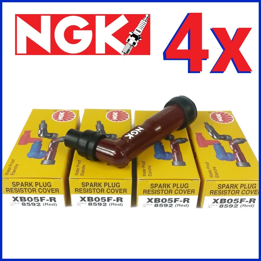 4er Pack