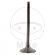 Prox Auslassventil Titan 28.2420-1