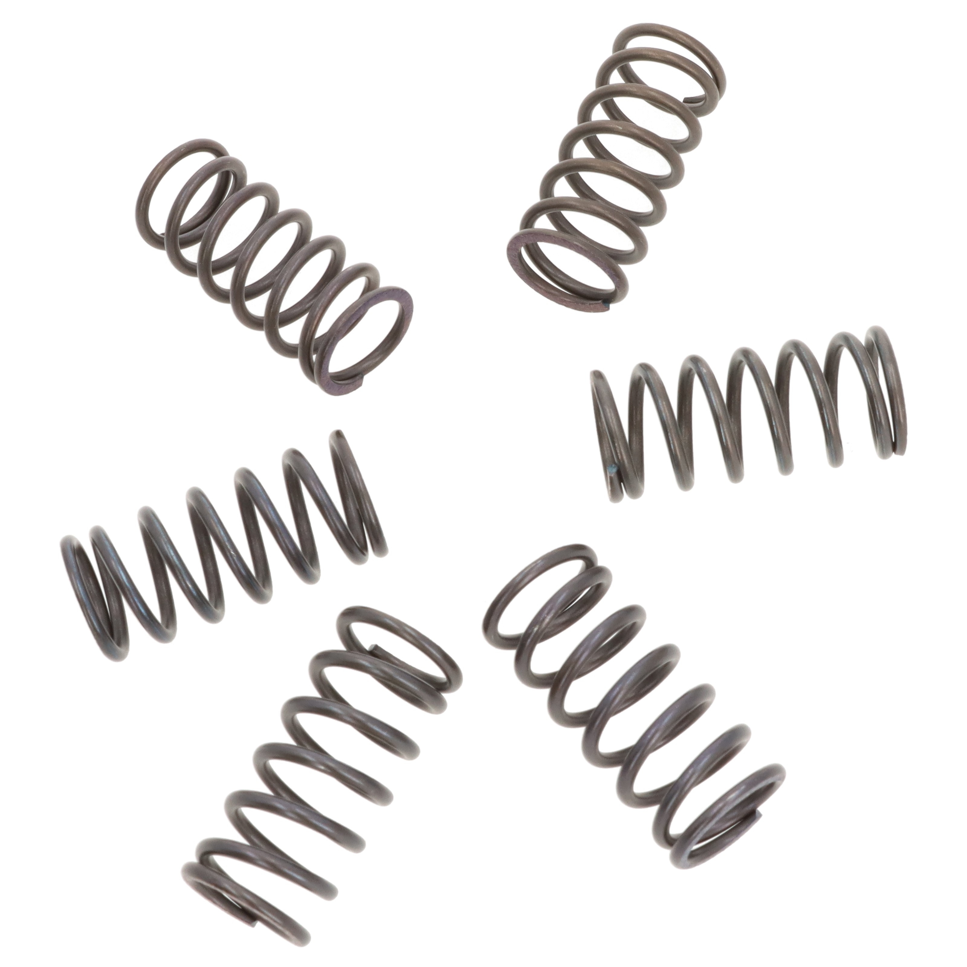 EBC Kupplungsfedern CSK038 (6 Stk.) für Kawasaki ZRX 1200