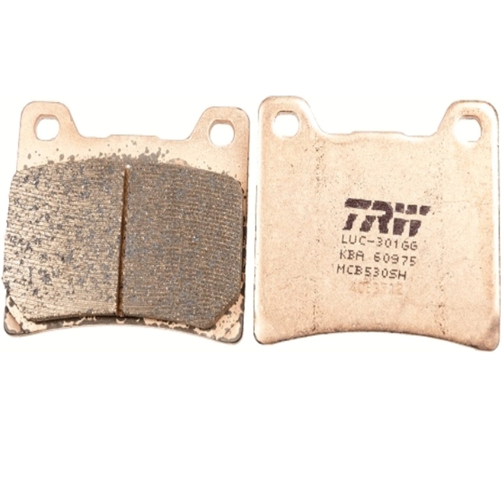 TRW Sintermetall Bremsbeläge hinten für Yamaha BT FZR FJ FZ XJR GTS TDM VMX-12 XJ YZF XVS