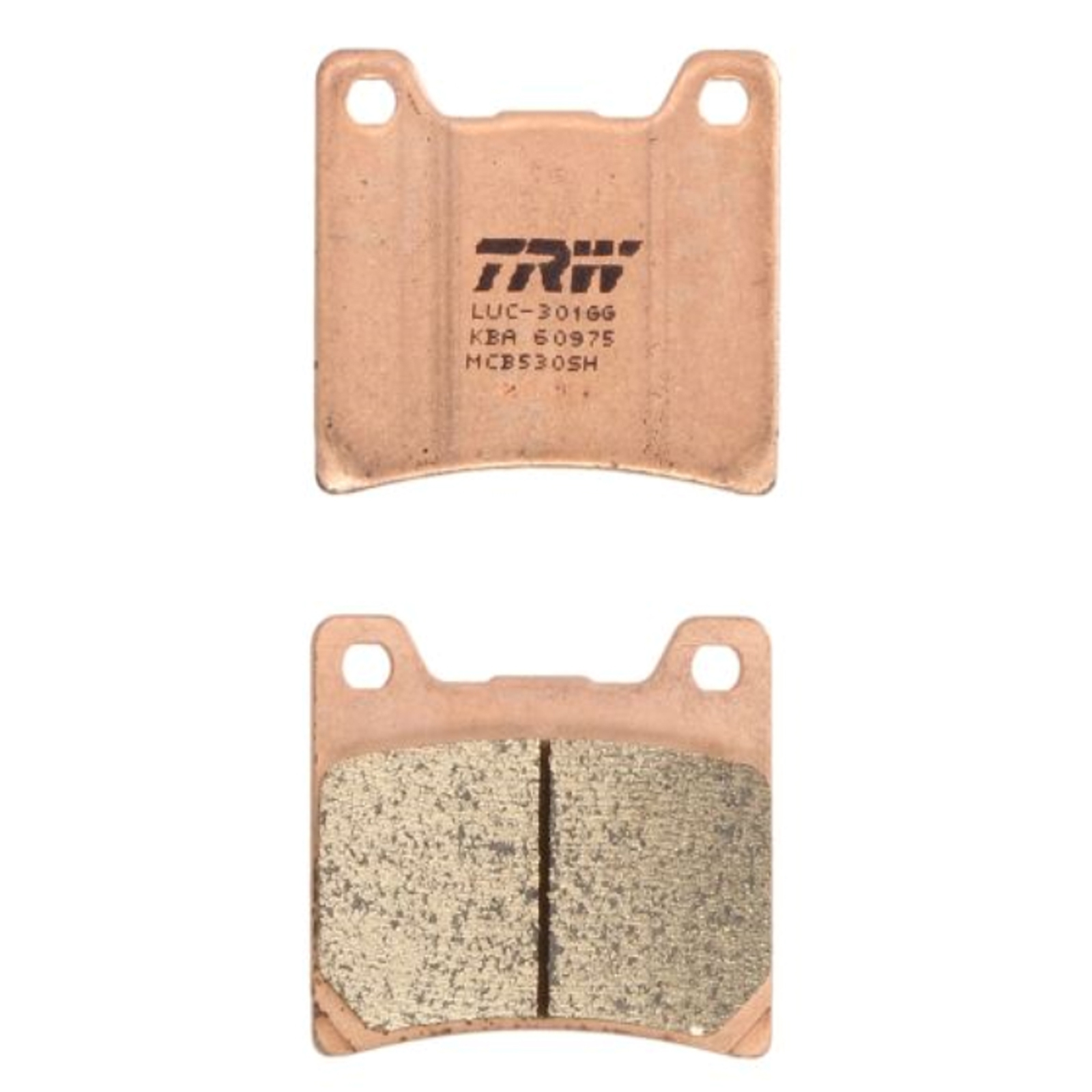 TRW Sintermetall Bremsbeläge hinten für Yamaha BT FZR FJ FZ XJR GTS TDM VMX-12 XJ YZF XVS