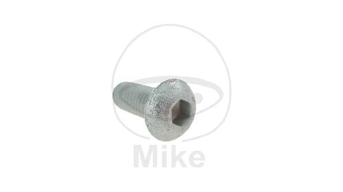 Bremsscheibenschraube M8X1.25X20mm OE GU98230820