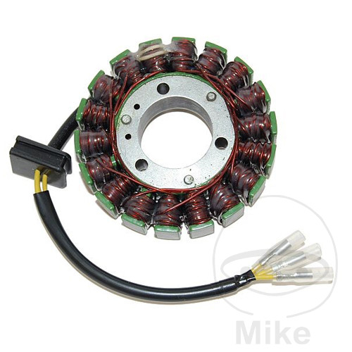 Lichtmaschine Stator
