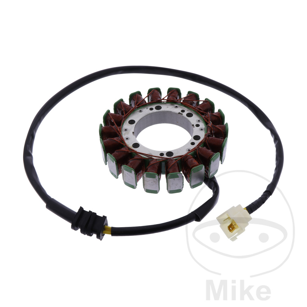 Lichtmaschine Stator