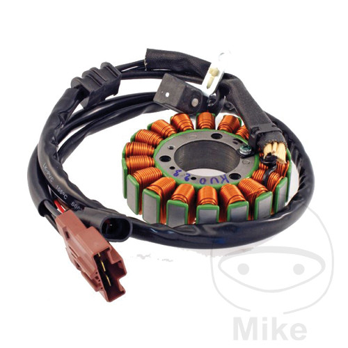 Lichtmaschine Stator