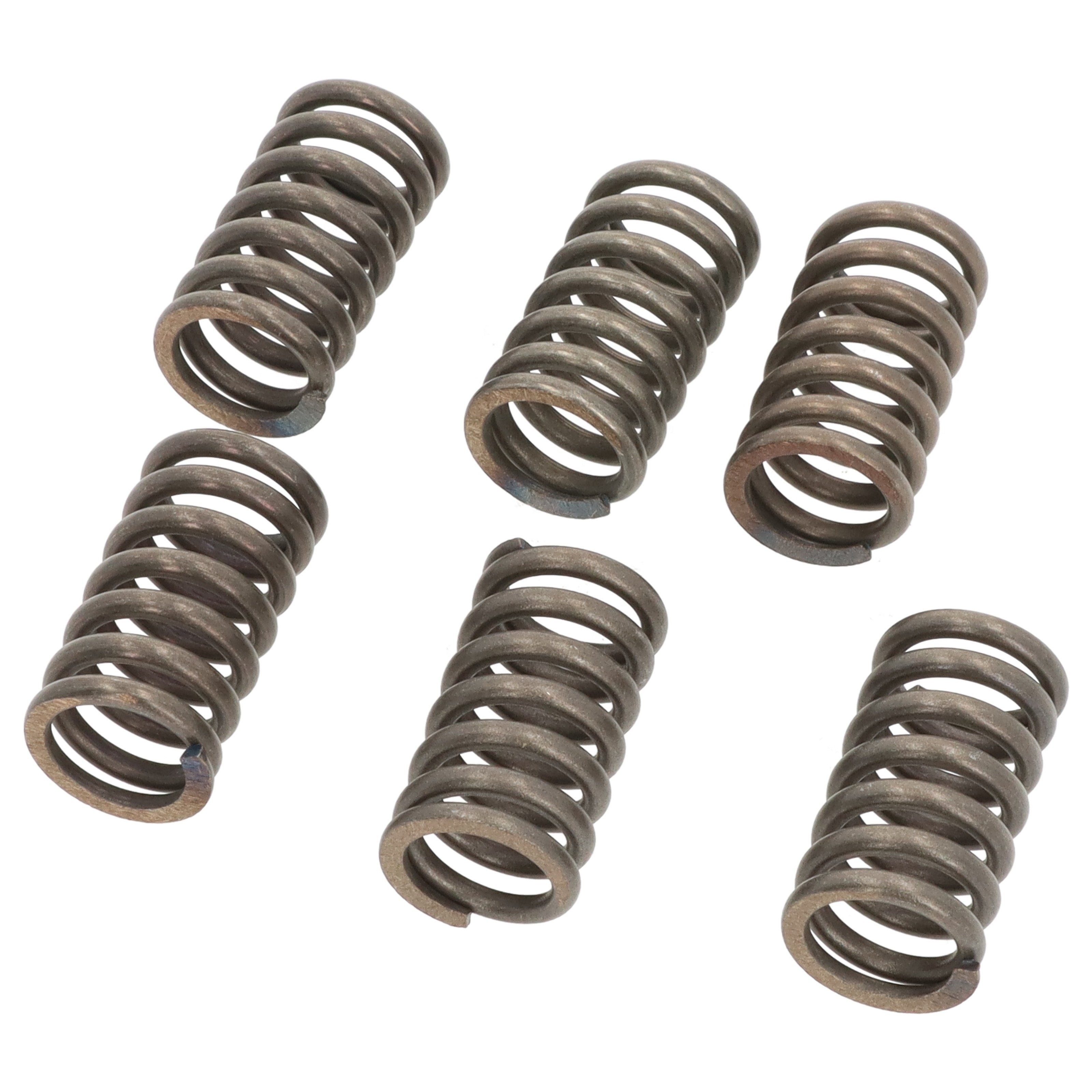 EBC Kupplungsfedern CSK031 (6 Stk.) für Kawasaki KMX 125 B Suzuki VL 1500