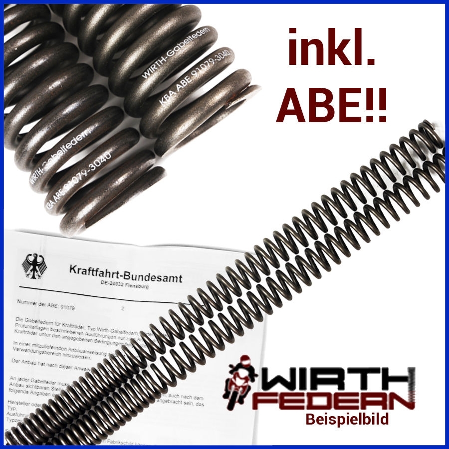 Wirth Gabelfedern mit Hülsen 65/30 494 (1015)