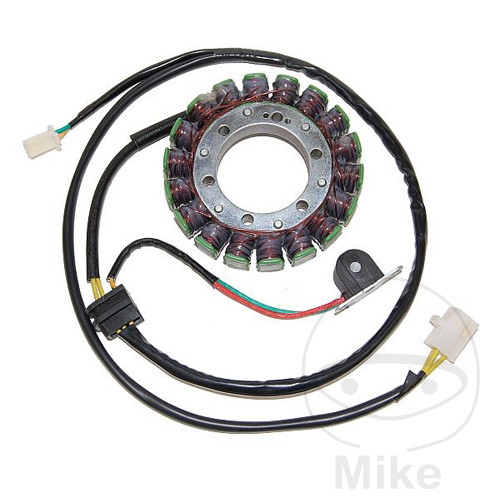 Lichtmaschine Stator