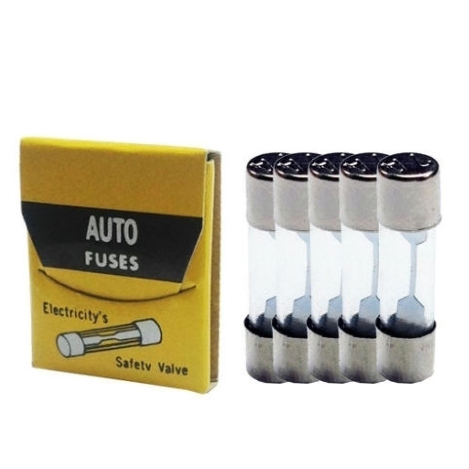 Glassicherung 25mm 10A BD02-0002 / 7054224 / 208-042