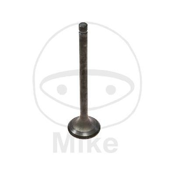 Auslassventil GG-1006-EX