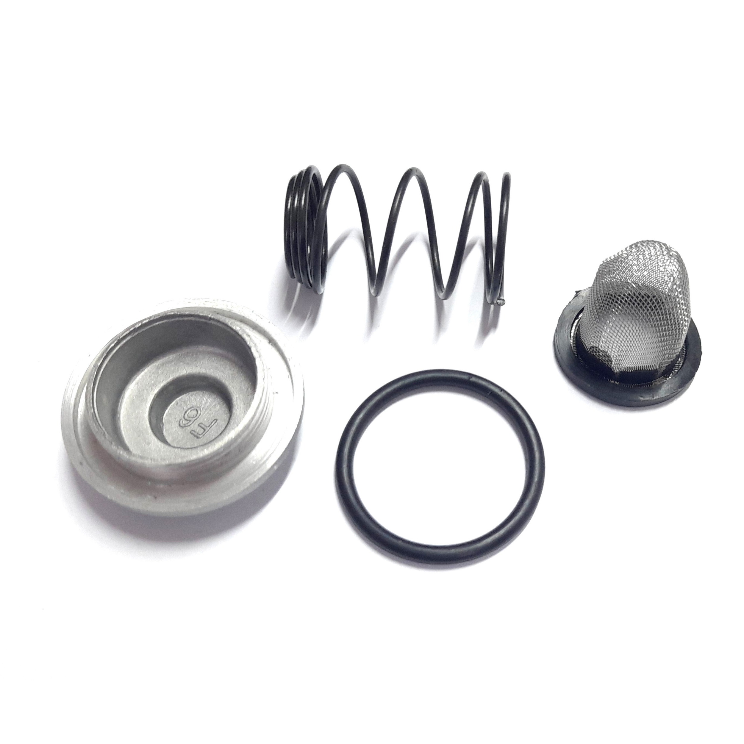 Ölfilter Set für 50ccm 139QMB 139QMA 4T Chinaroller Ölablassschraube Dichtung Feder Sieb