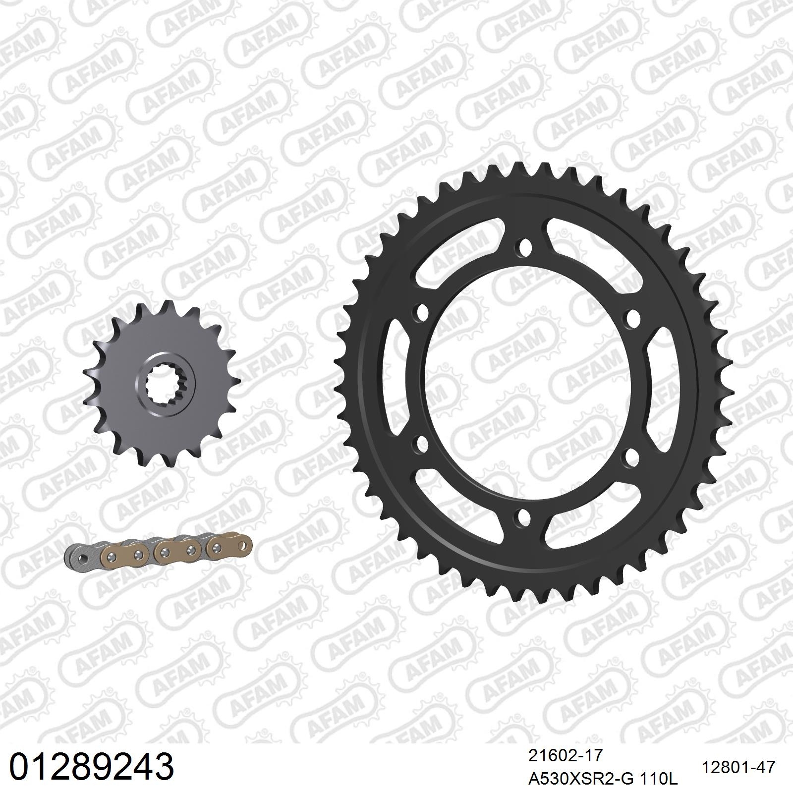 AFAM Kettensatz 530 X-Ring golden 4263kg für Yamaha FZR 1000 EXUP 1989-1997