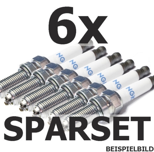 6er Pack