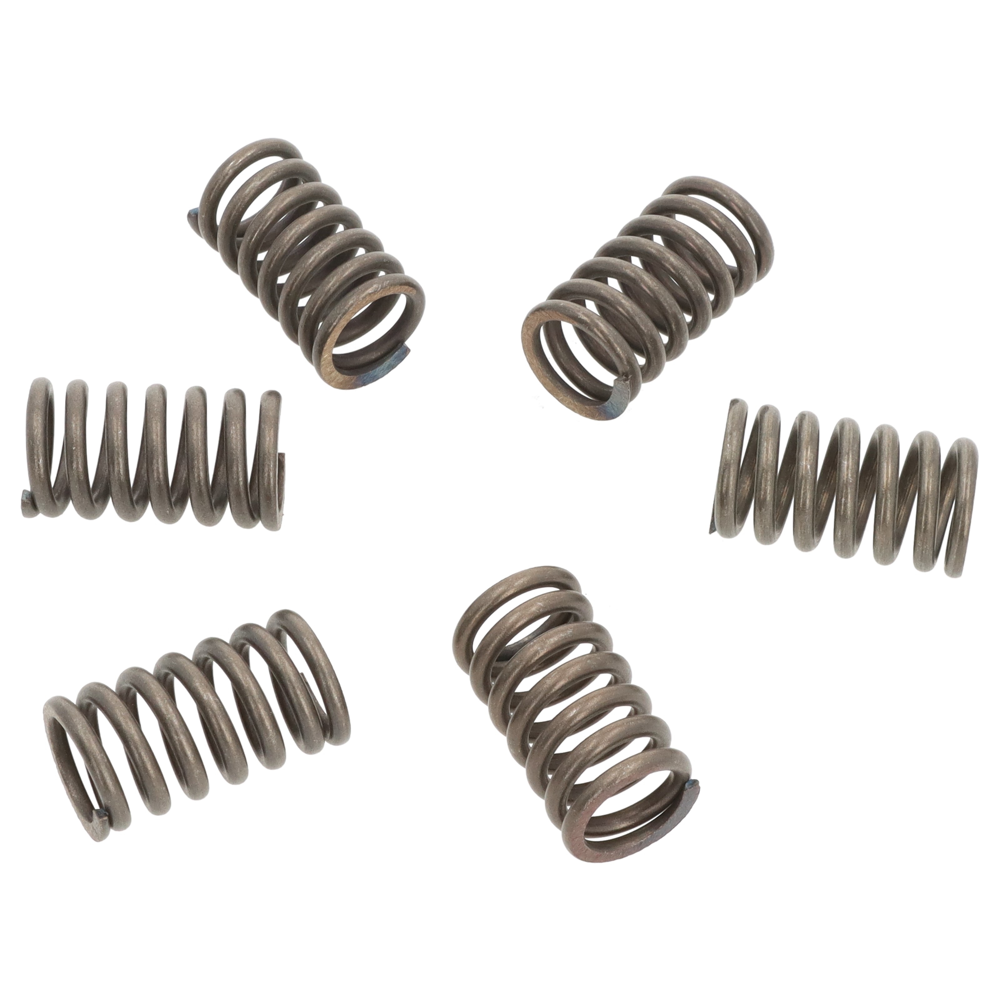 EBC Kupplungsfedern CSK031 (6 Stk.) für Kawasaki KMX 125 B Suzuki VL 1500