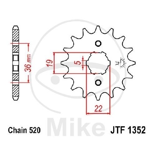 JT Ritzel 13 Zähne Teilung 520  / 1352.13