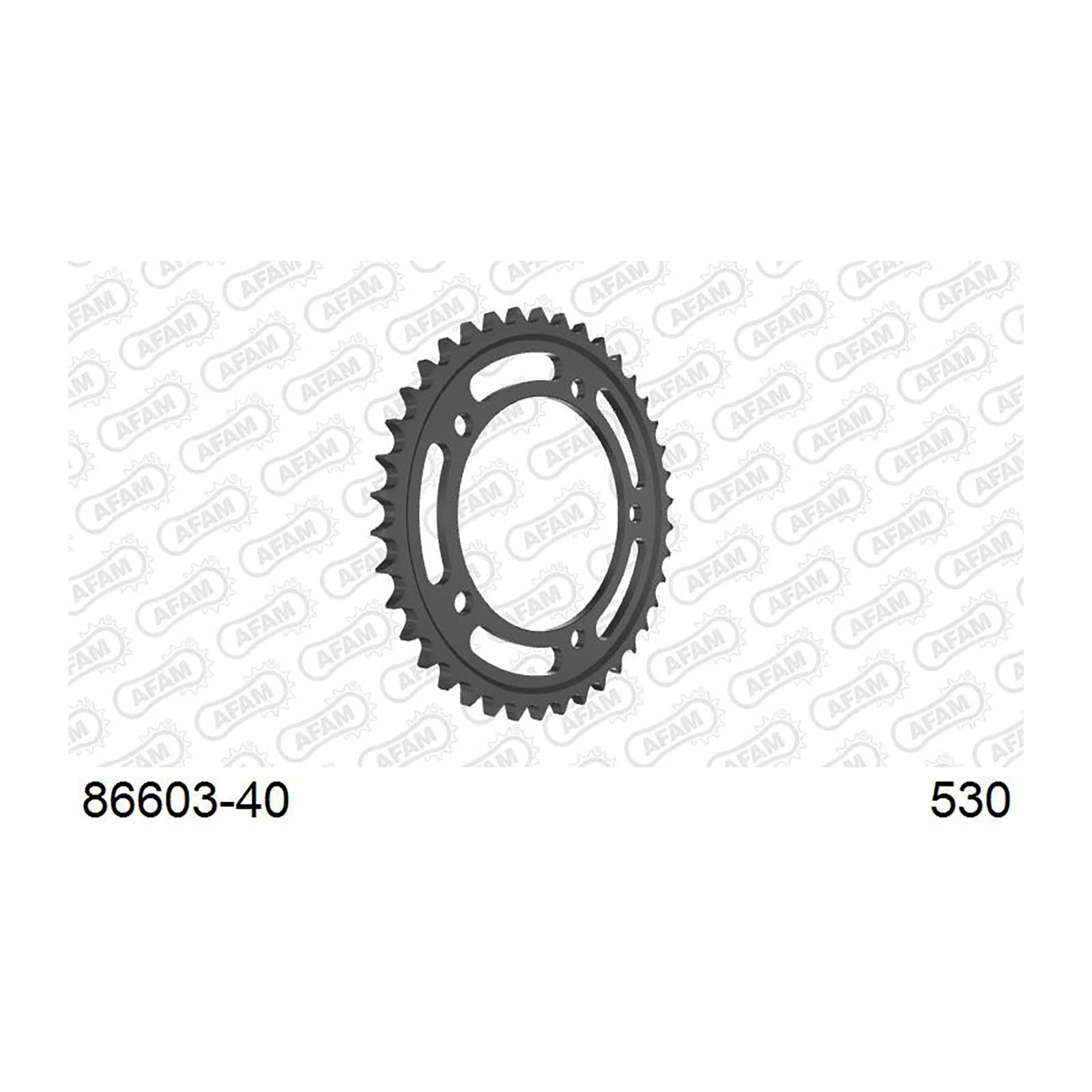 AFAM Kettenrad Teilung 530 40 Zähne Stahl schwarz