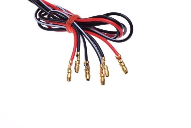 Universelle Rückleuchte Rücklicht Cat Eye schwarz Nummernschildbeleuchtung