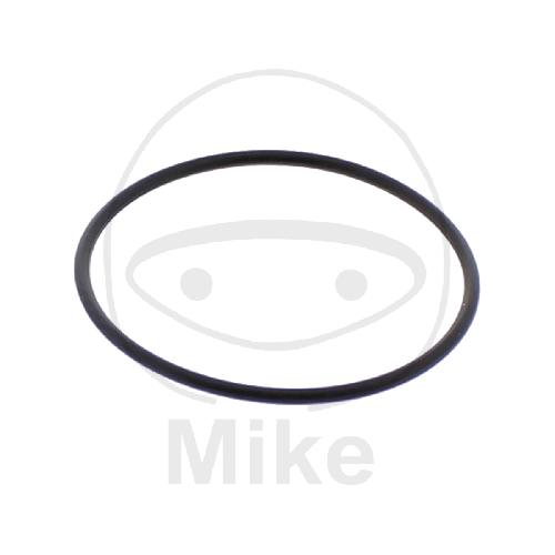 Einlassdichtung O-RING M752004400004