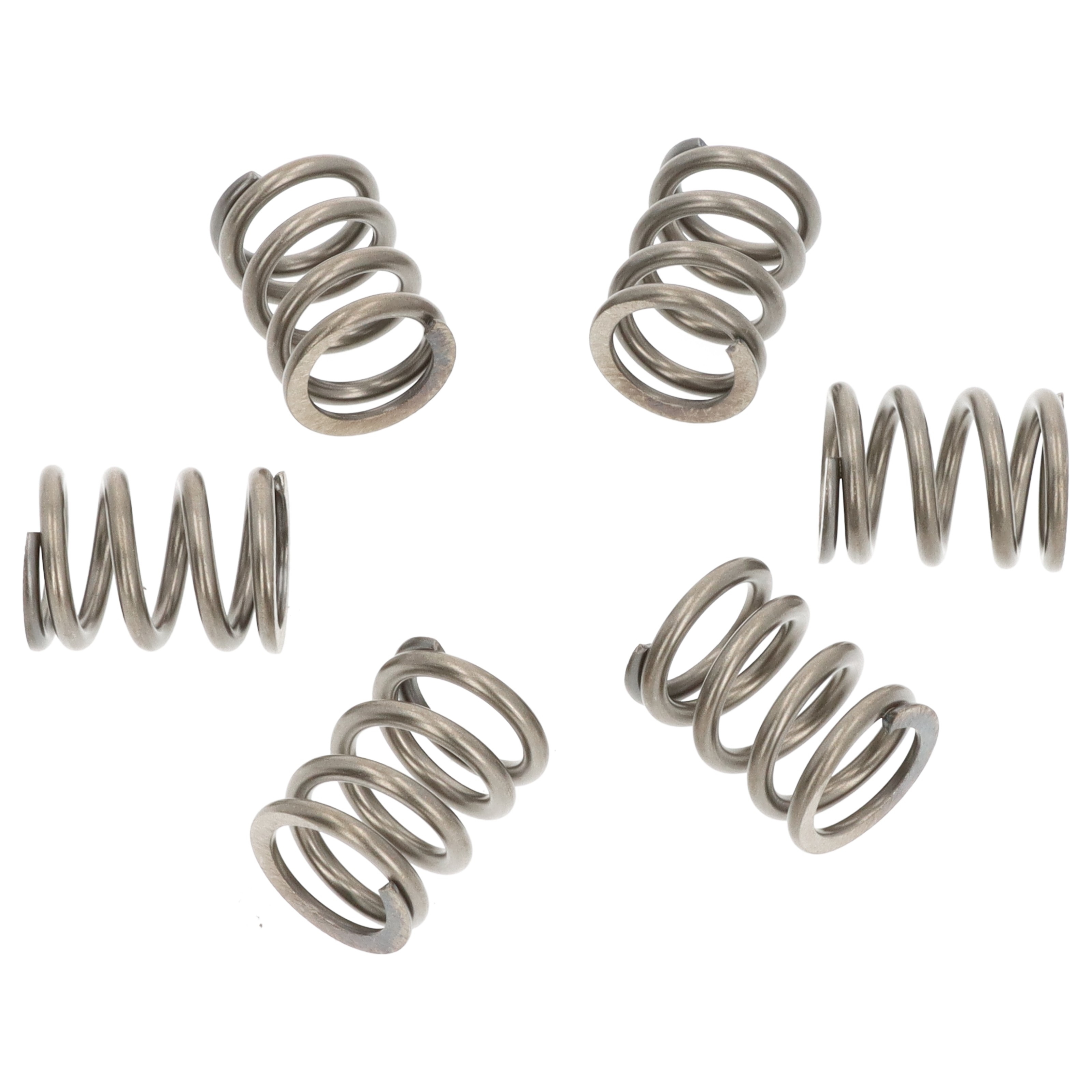EBC CSK071 6x Kupplungsfedern Satz für Suzuki TL 1000 S AG3115 AG3215 1997-2000 R AM3212 1998-1999