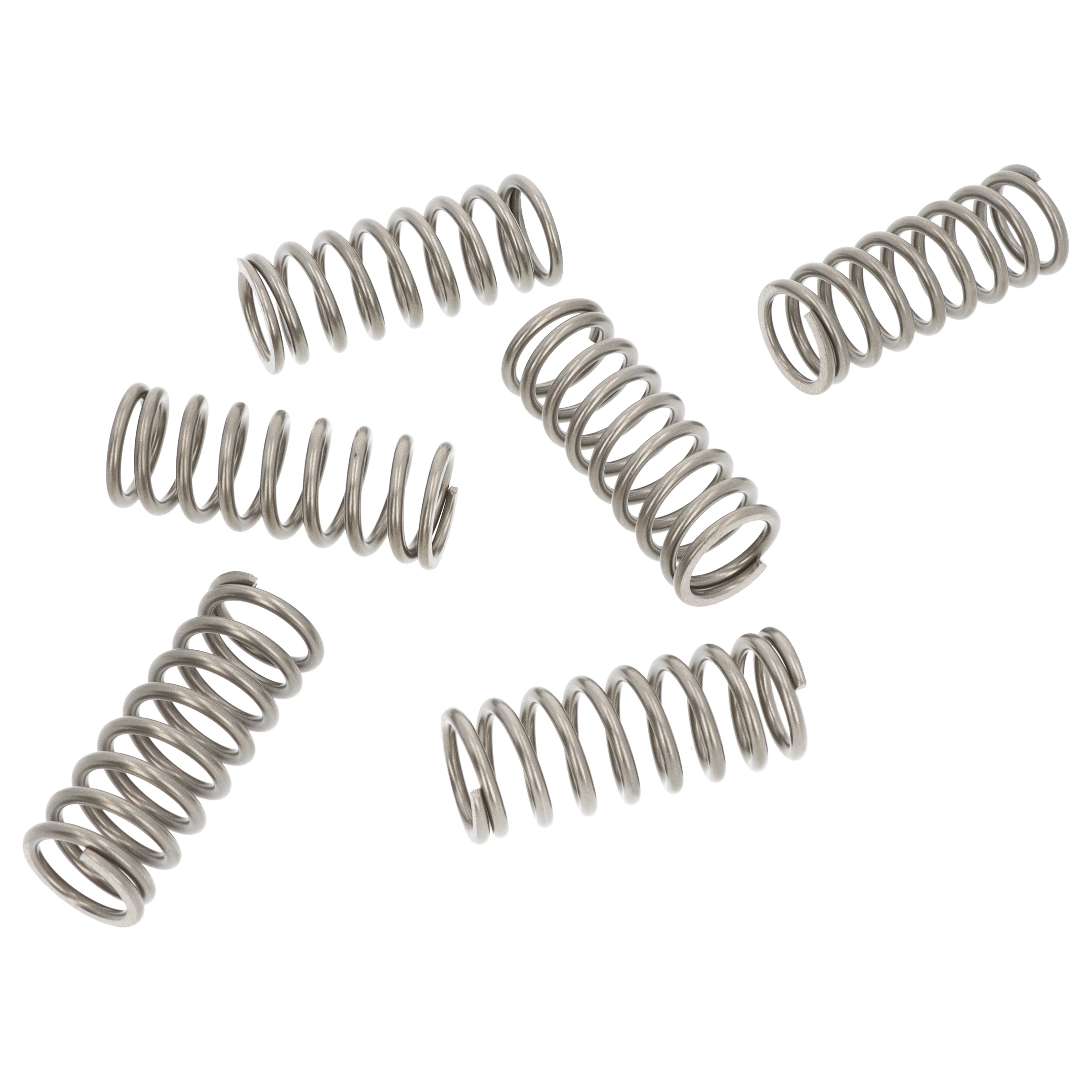 EBC CSK198 Kupplungsfedern für Suzuki Bandit GSF GSX 600 GSX-R 750 RF 600 Satz verstärkt