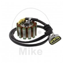 Tourmax Lichtmaschine Stator