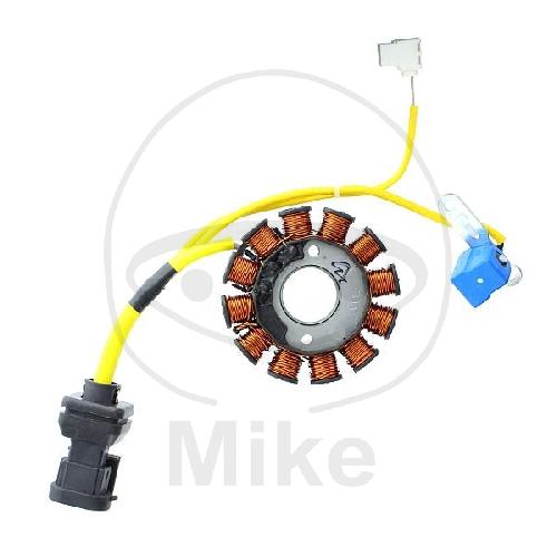 Lichtmaschinen Stator ESG194