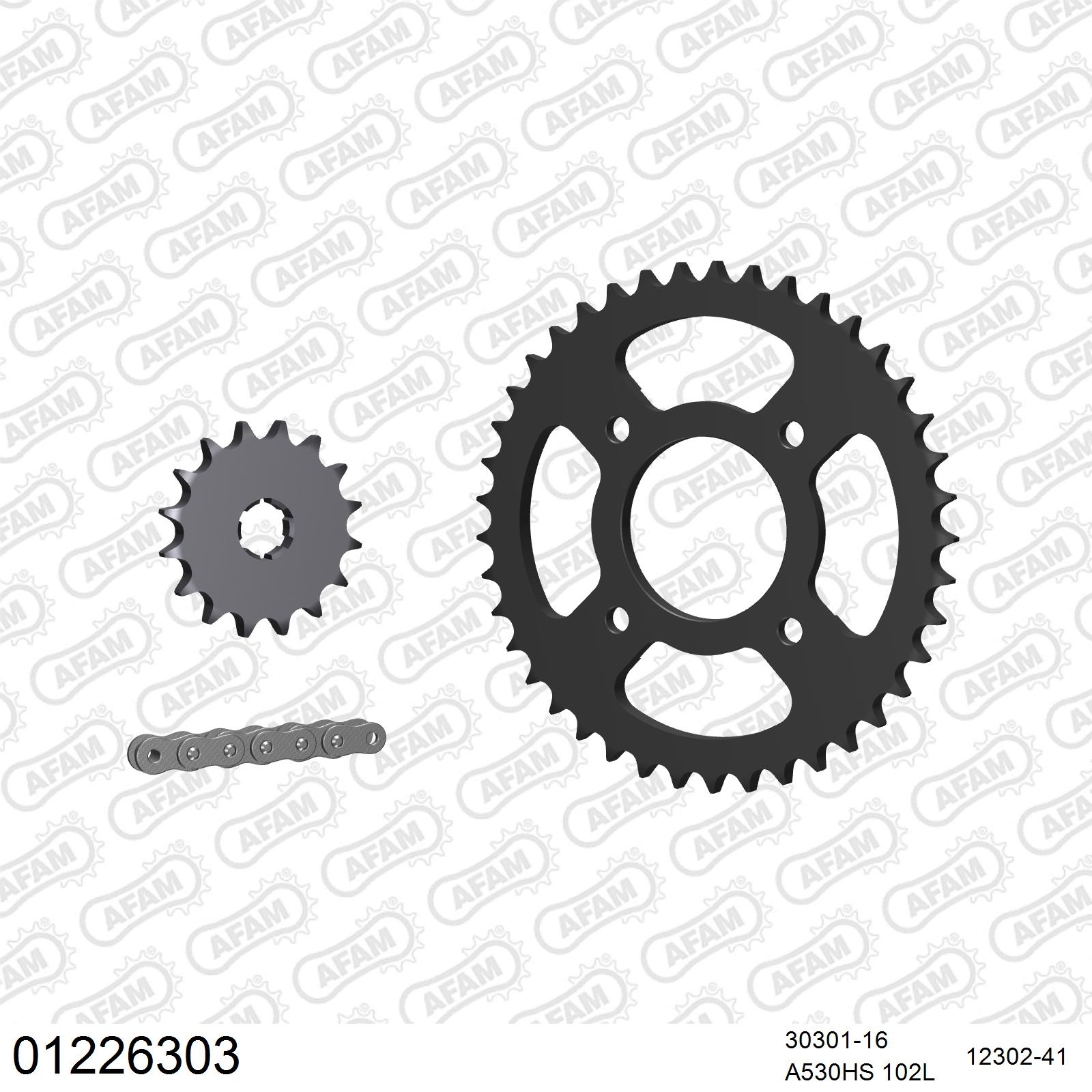 AFAM Kettensatz 530 3631kg für Yamaha RD 250 LC 1980-1986