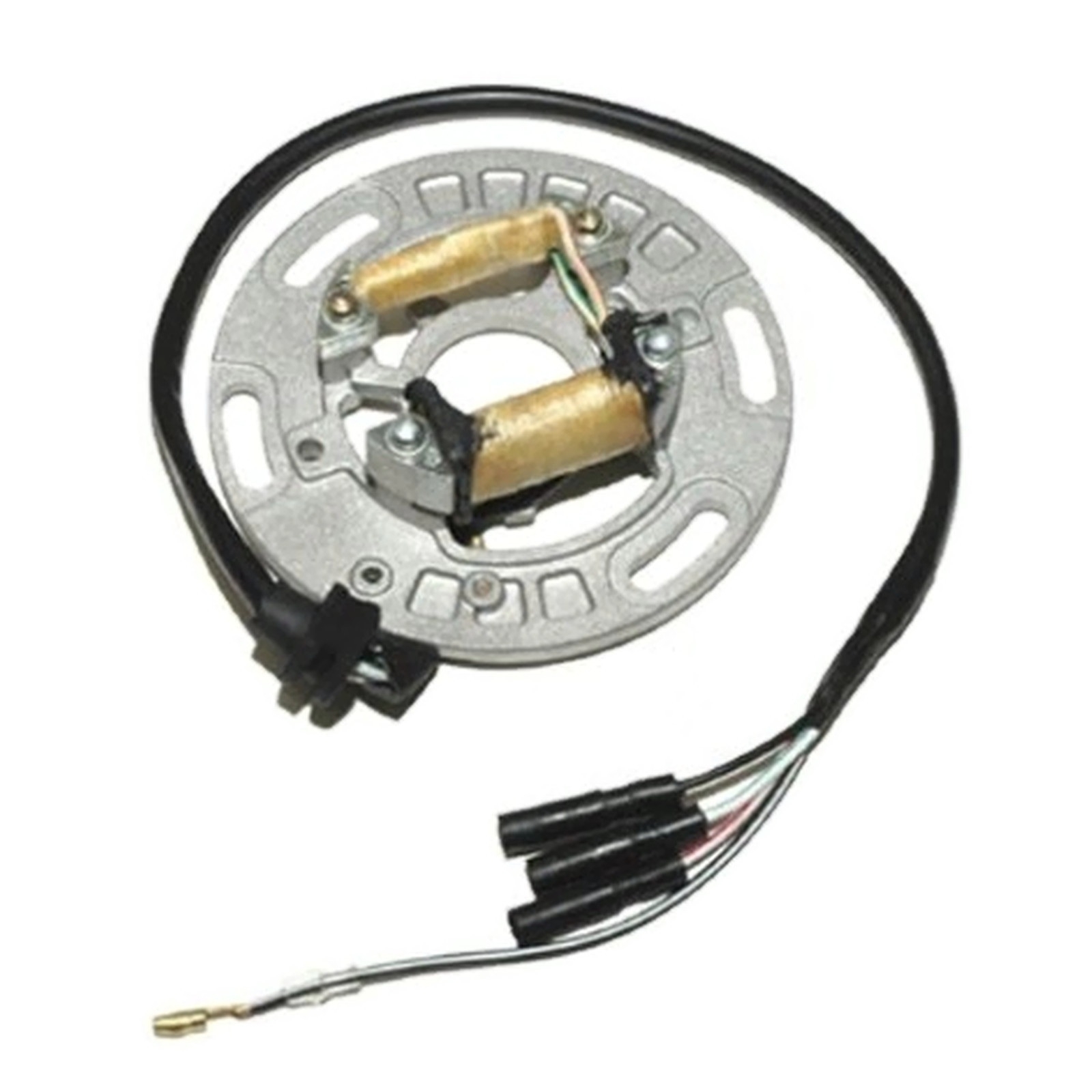 Lichtmaschine Stator