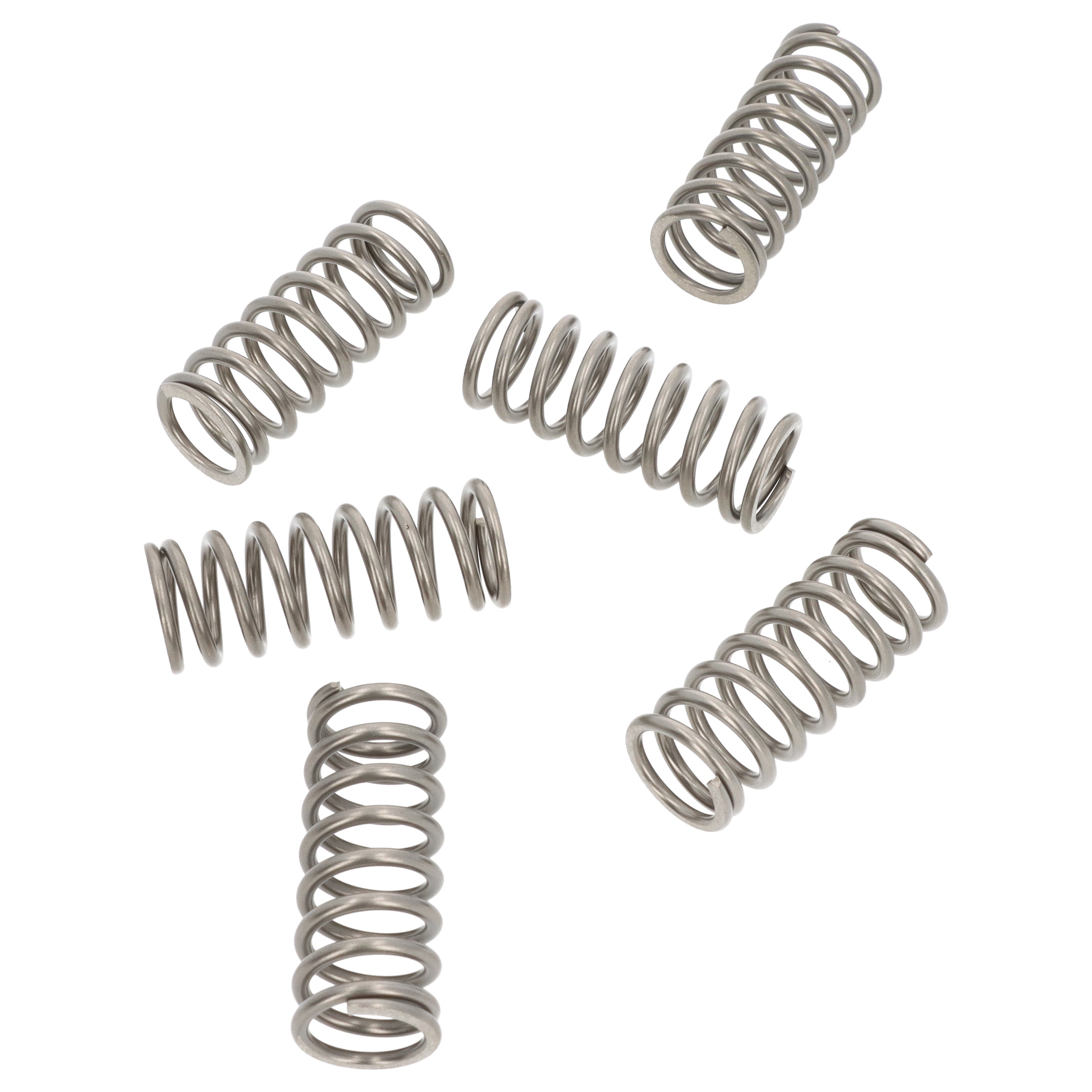 EBC CSK198 Kupplungsfedern für Suzuki Bandit GSF GSX 600 GSX-R 750 RF 600 Satz verstärkt