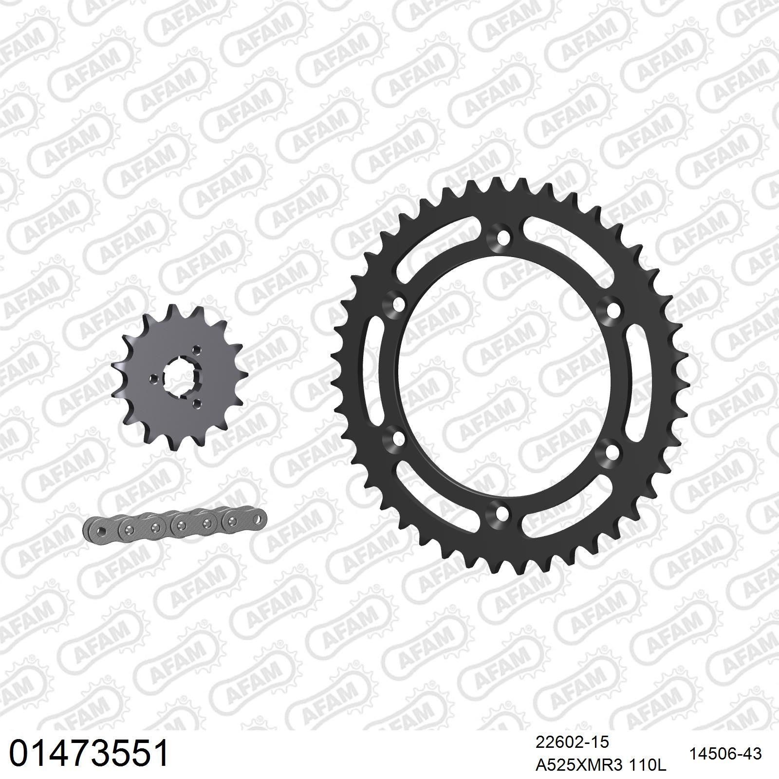AFAM Kettensatz 525 X-Ring 4385kg für Suzuki XF 650 Freewind VWXYK1K2 1997-2002