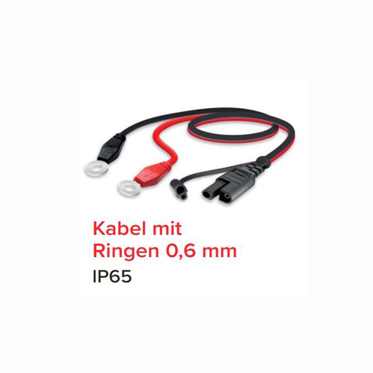 Shido Duales Batterieladegerät DC 1.0 Ladegerät Blei-, Säure- und Lithium Batterien