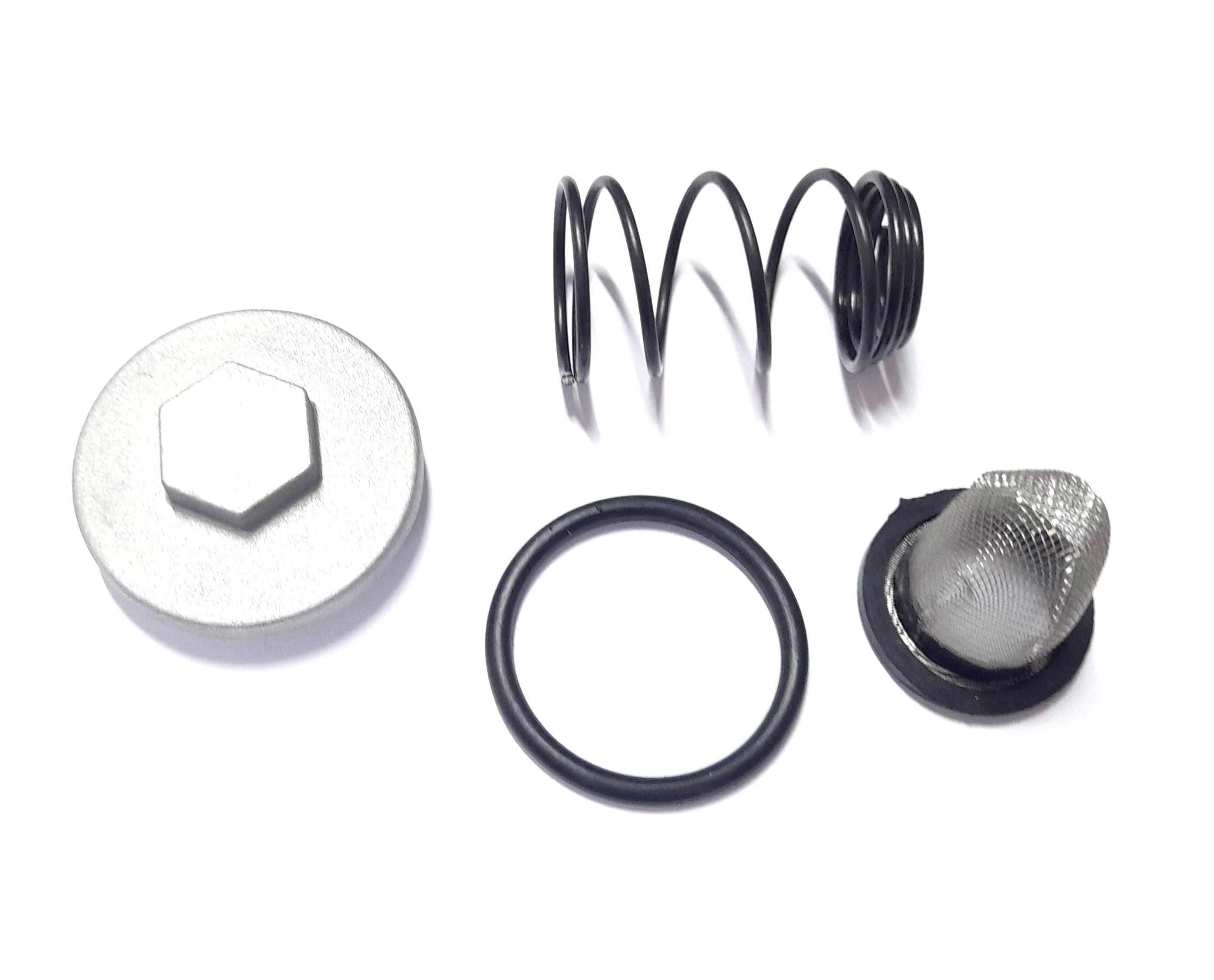 Ölfilter Set für 50ccm 139QMB 139QMA 4T Chinaroller Ölablassschraube Dichtung Feder Sieb