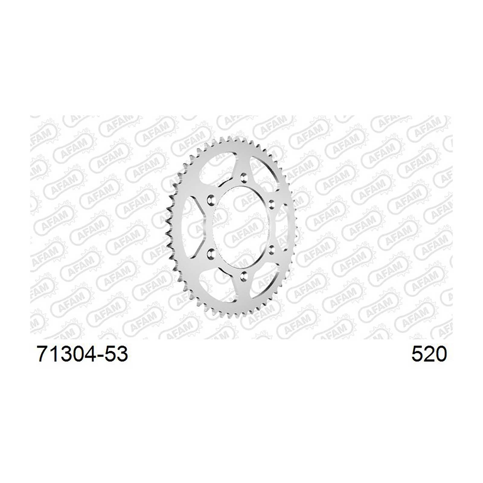 AFAM Kettenrad Teilung 520 53 Zähne Stahl silber