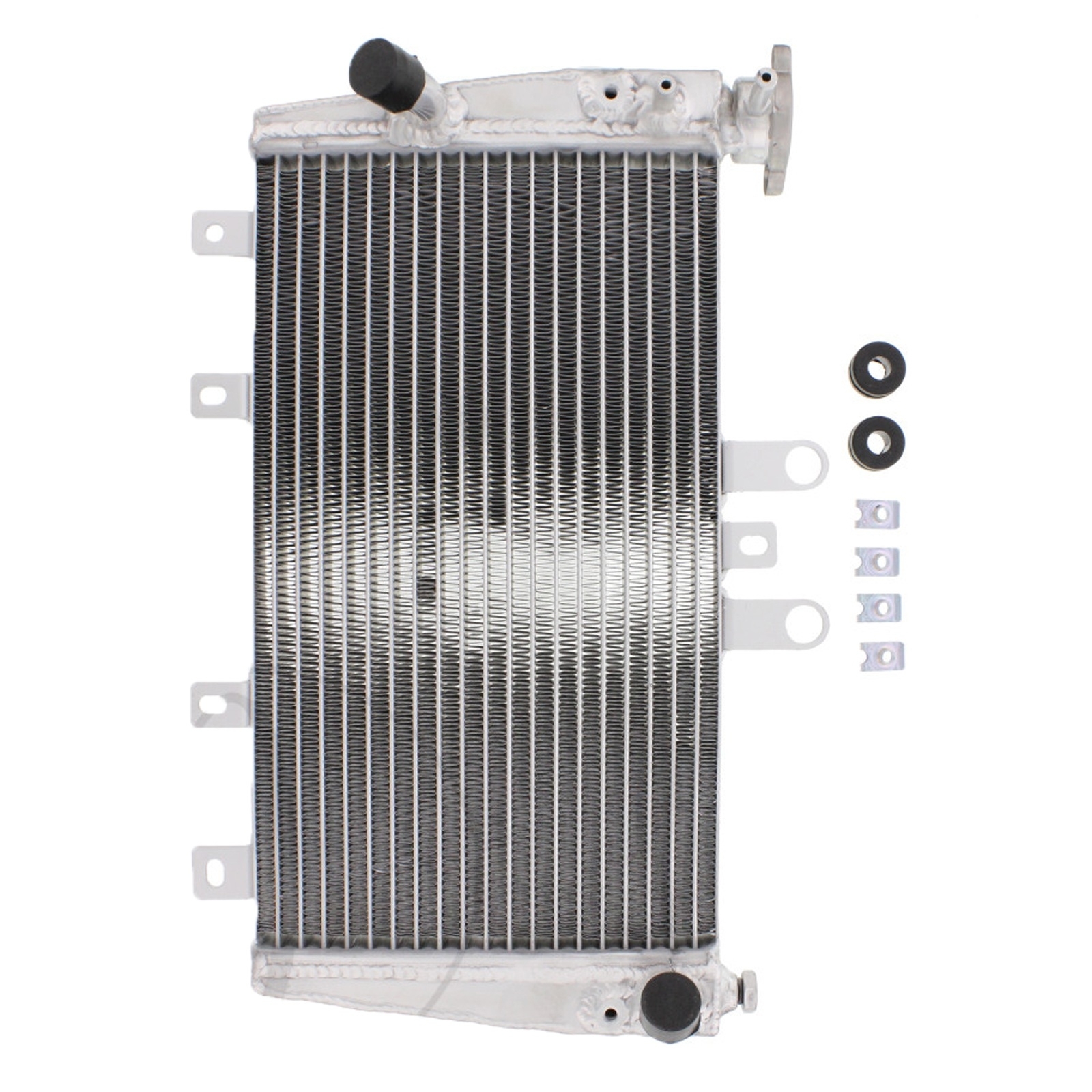 JMP 7760187 Wasserkühler Kühler für Triumph Speed Triple 1050 515NJ SMTTE58 2005 - 2011
