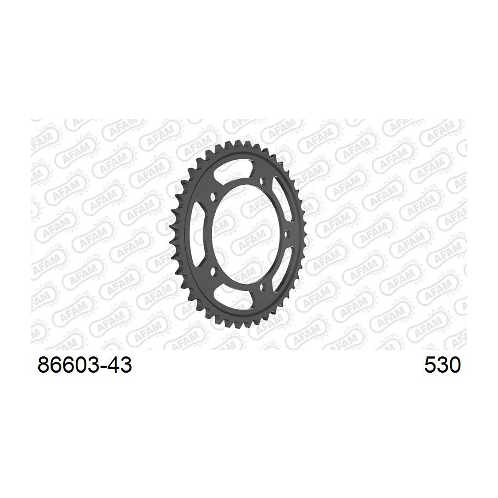 AFAM Kettenrad Teilung 530 43 Zähne Stahl schwarz
