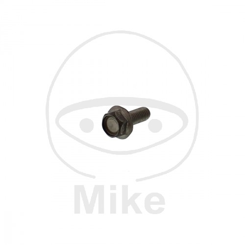 Bremsscheibenschraube 95880-06016-00