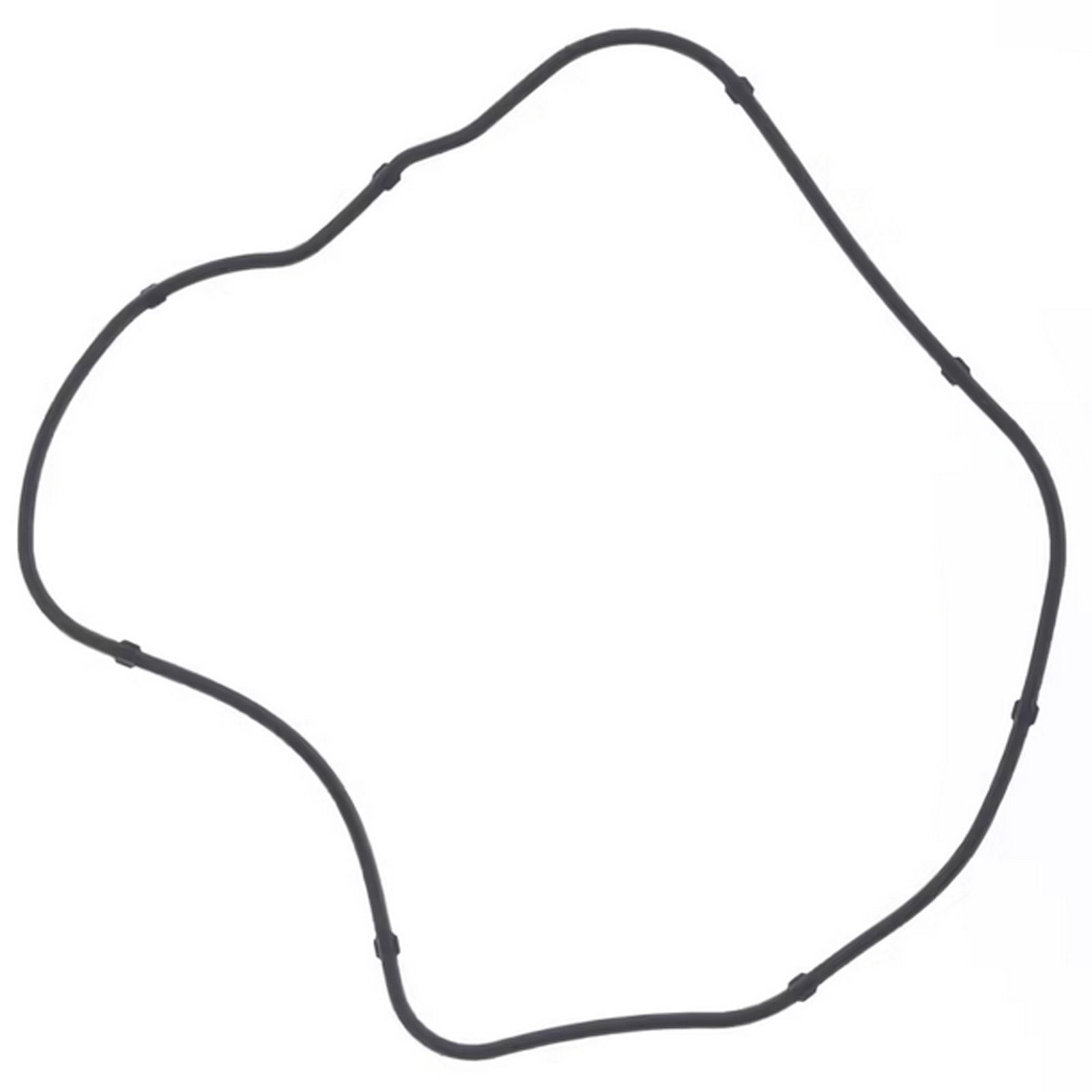 Ventildeckeldichtung S410210015081 O-Ring für Honda Foresight FES250 Forza NSS250 Piaggio X9 250