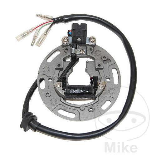 Lichtmaschine Stator