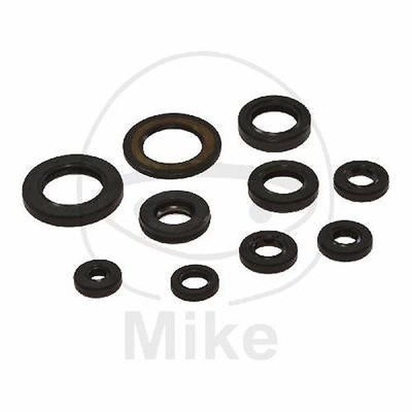 Tourmax Wellendichtringe Motor Dichtsatz OSL-209
