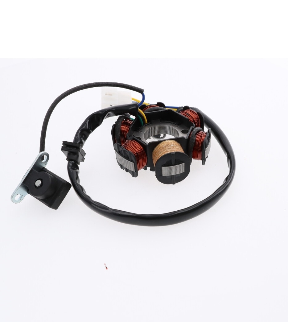Lichtmaschinenstator Stator Lima für ATV 110ccm Magnetspule Lichtmaschine