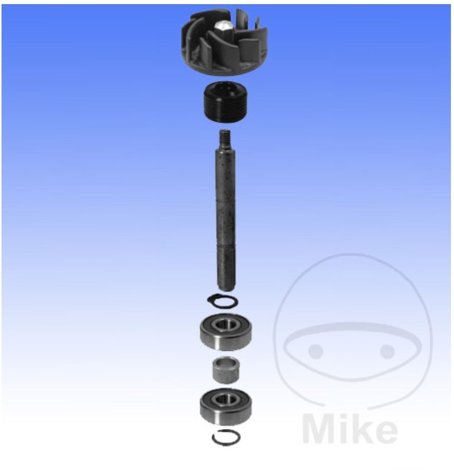 Wasserpumpen Reparatur für Gilera Runner SP Italjet Dragster 125 180 Piaggio Hex